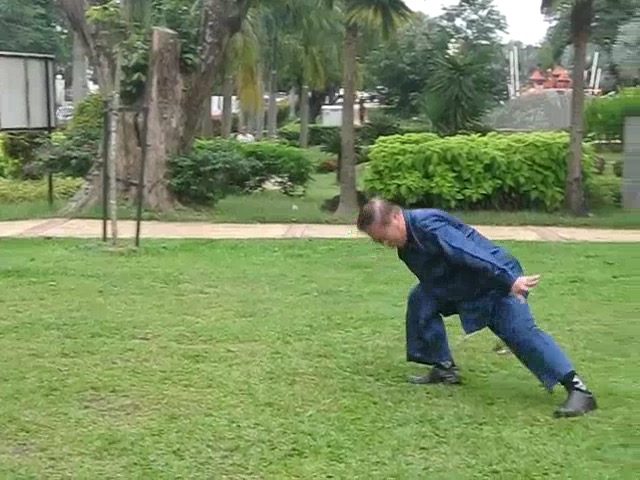 Shaolin 36 Leg Techniques